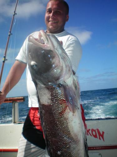 GIGANTES DEL MAR